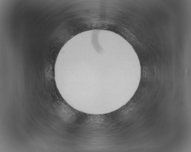 X0000074310820200608251002