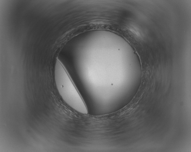 X0000074310821200608251002