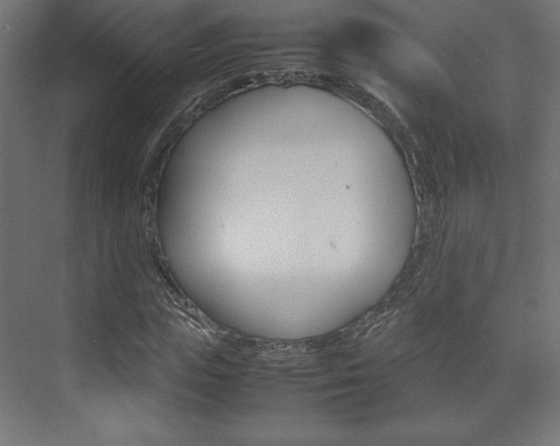 X0000074310823200608251002