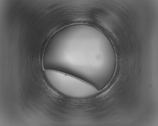 X0000074310825200608251002