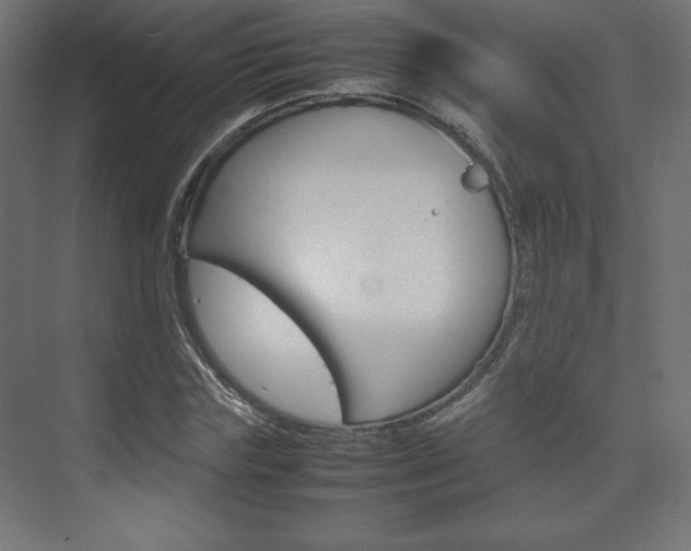 X0000074310827200608251002