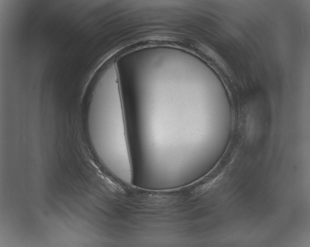 X0000074310829200608251002