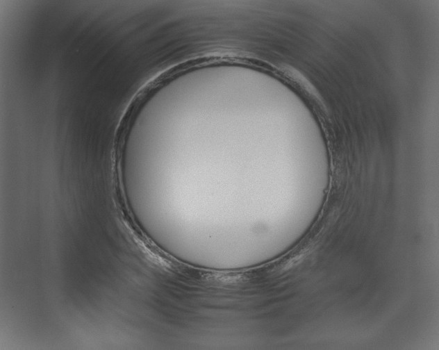 X0000074310831200608251002