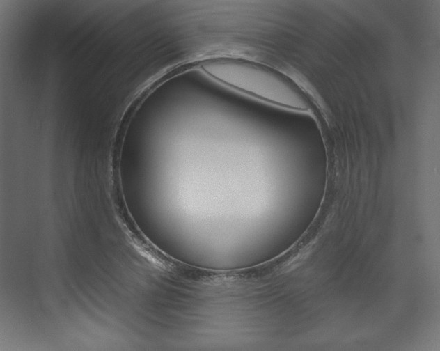 X0000074310834200608251002