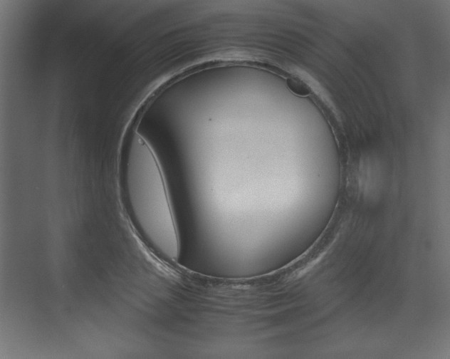 X0000074310837200608251002