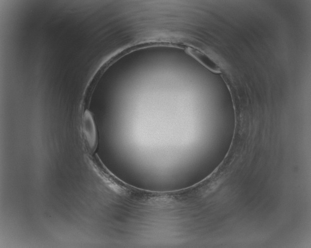 X0000074310838200608251002