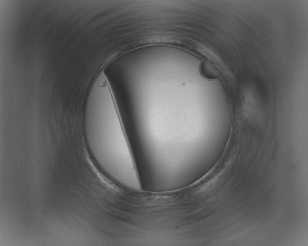 X0000074310841200608251002