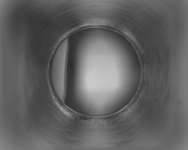 X0000074310842200608251002