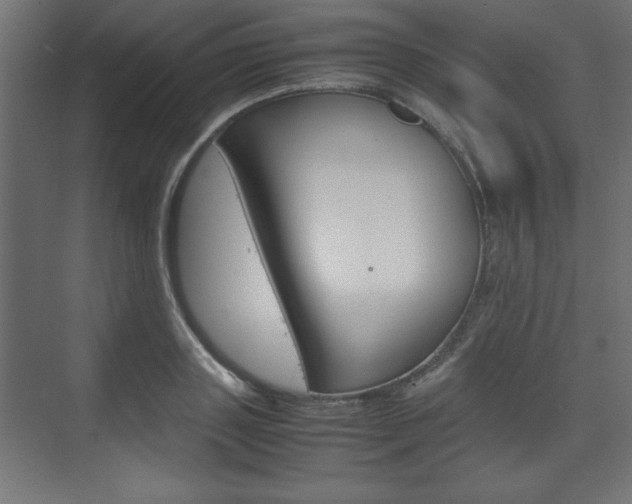 X0000074310843200608251003