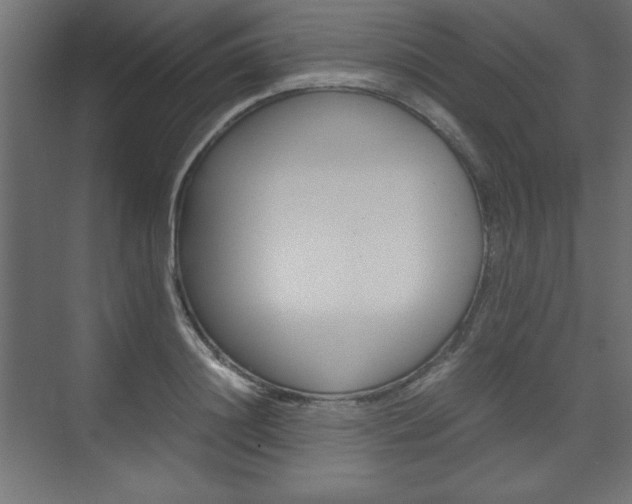 X0000074310844200608251003