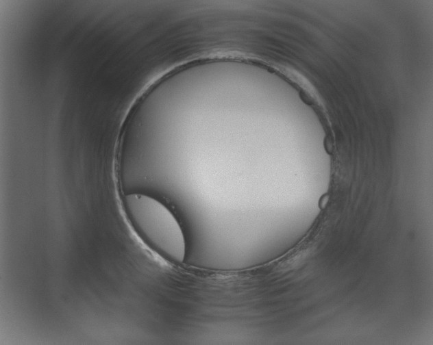 X0000074310847200608251003