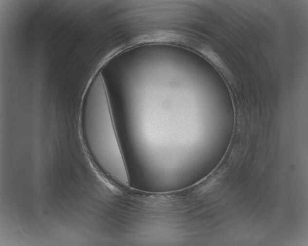 X0000074310850200608251003