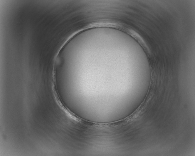 X0000074310852200608251003