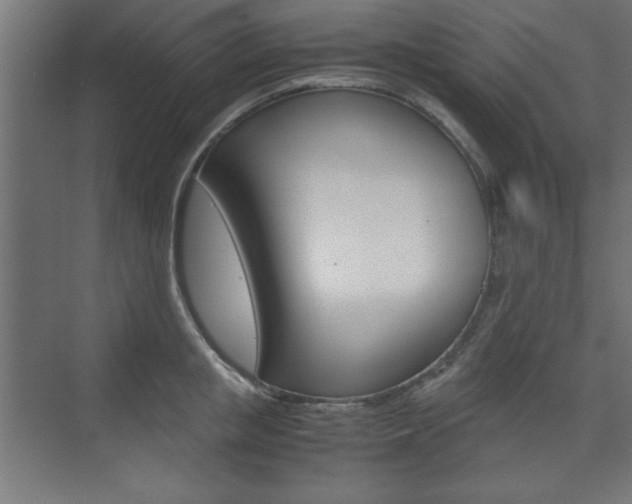 X0000074310853200608251003