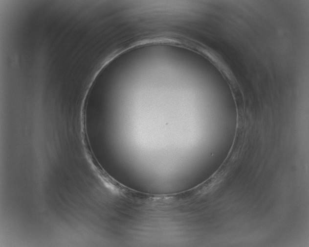 X0000074310858200608251003