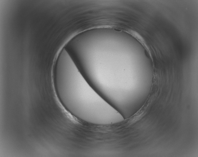 X0000074310859200608251003