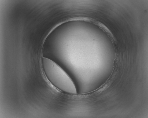 X0000074310860200608251003