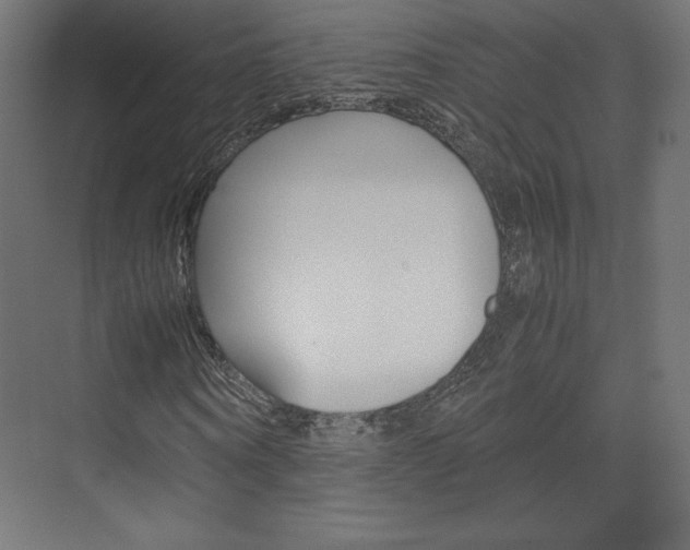 X0000074310866200608251002