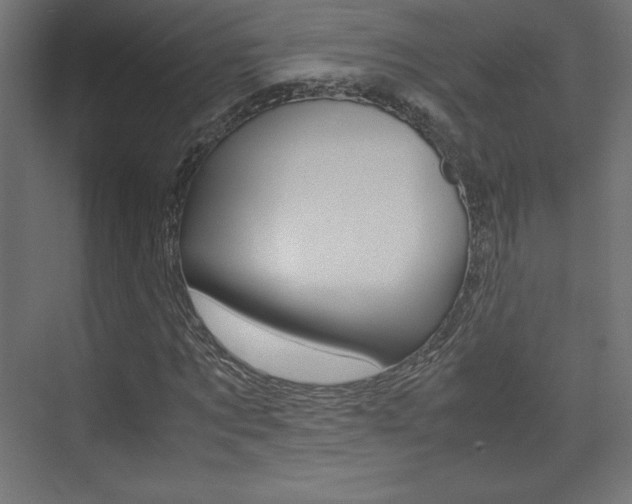 X0000074310869200608251002