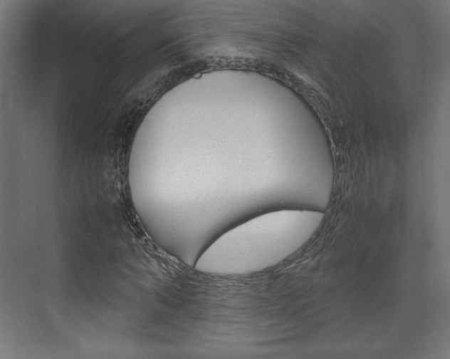 X0000074310870200608251002