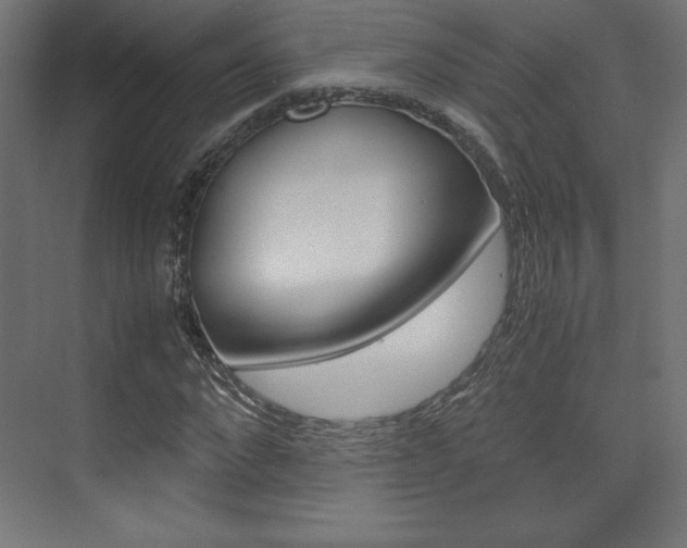 X0000074310872200608251002