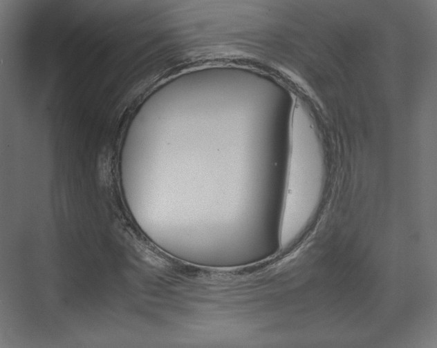 X0000074310873200608251002