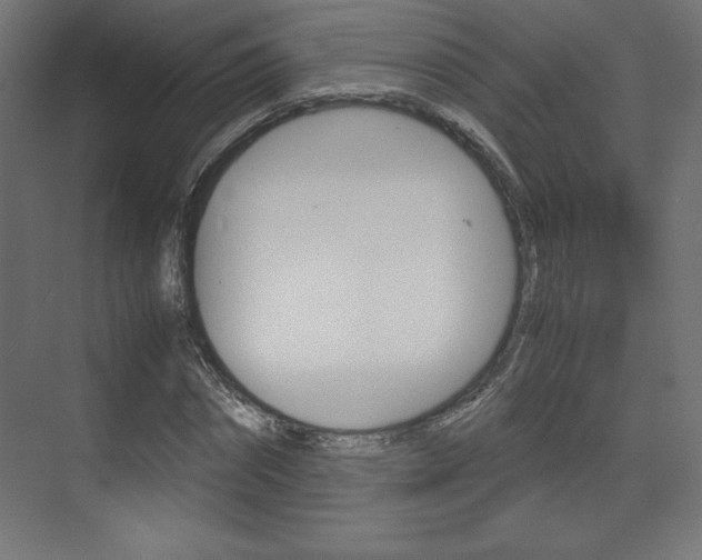X0000074310874200608251002