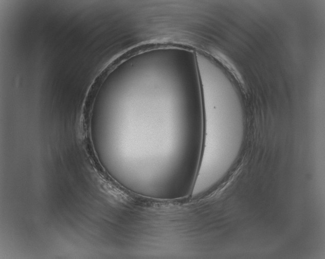 X0000074310876200608251002