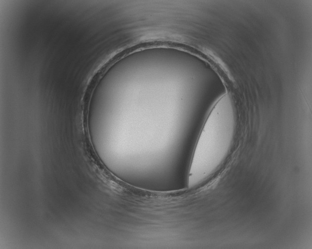 X0000074310877200608251002
