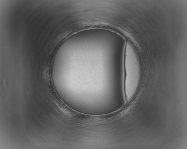 X0000074310881200608251002