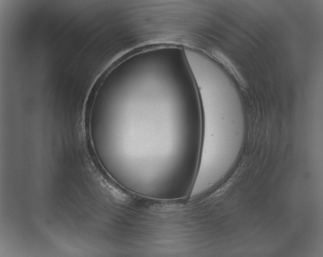 X0000074310884200608251002