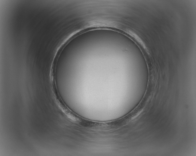 X0000074310885200608251002