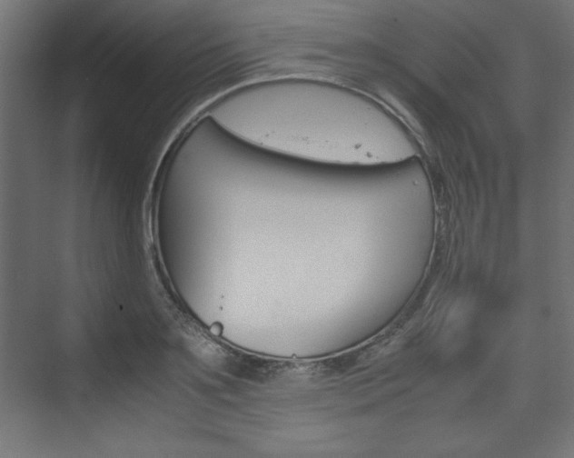 X0000074310891200608251002