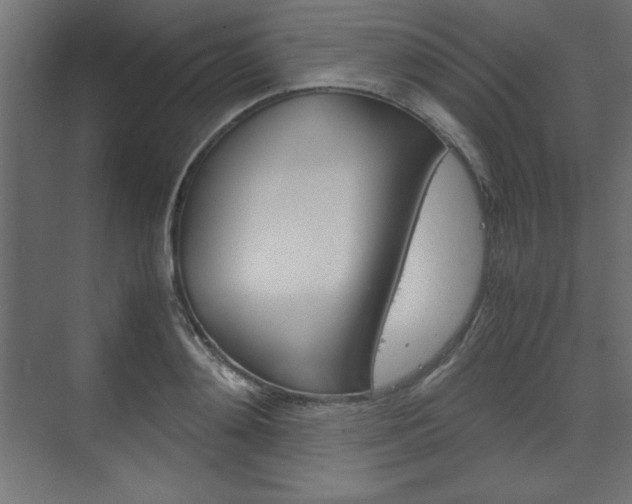 X0000074310892200608251002