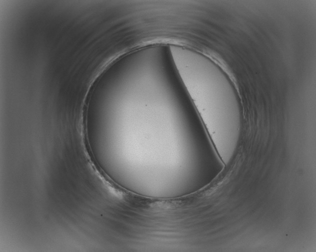 X0000074310898200608251001