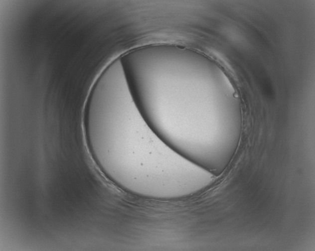 X0000074310899200608251001