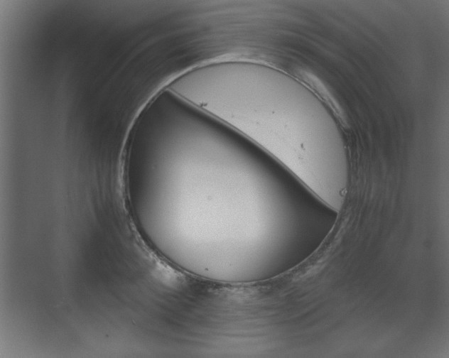 X0000074310900200608251001