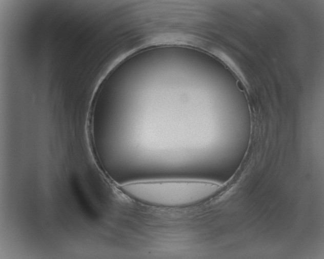 X0000074310901200608251001