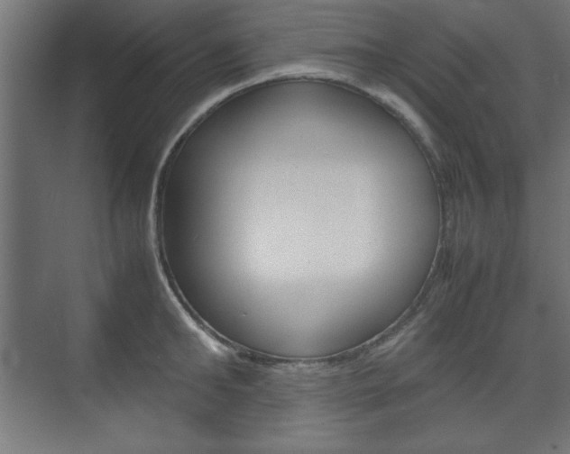 X0000074310902200608251001