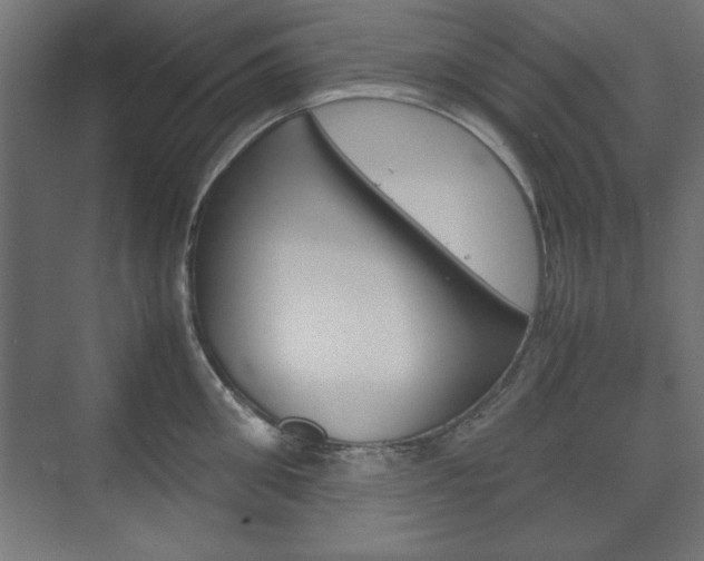 X0000074310906200608251001