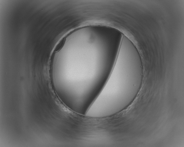X0000074310912200608251001