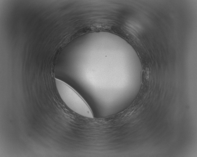 X0000074310915200608251000