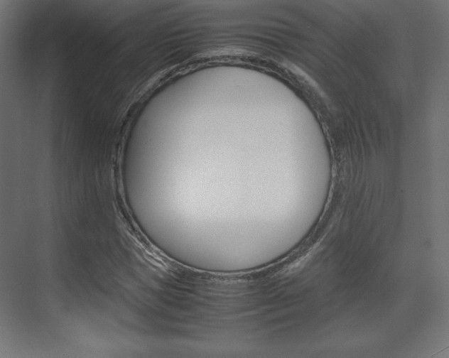 X0000074310921200608251001