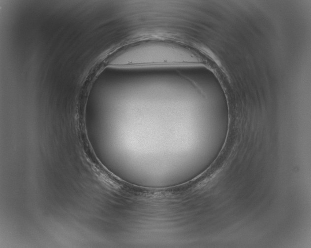 X0000074310922200608251001