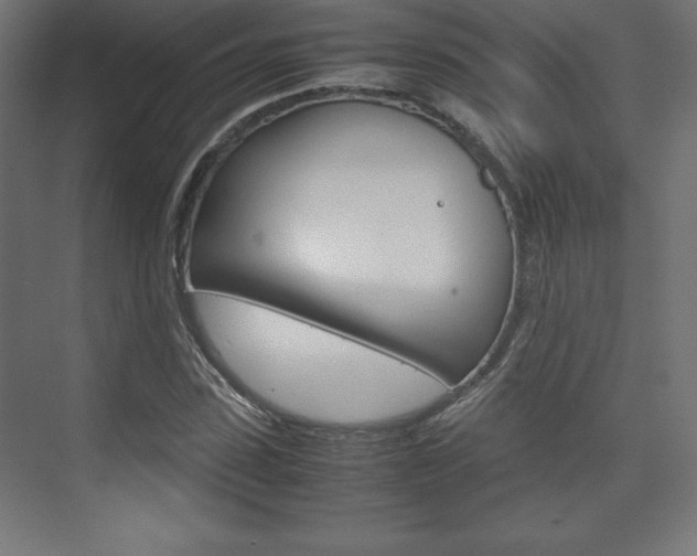 X0000074310923200608251001