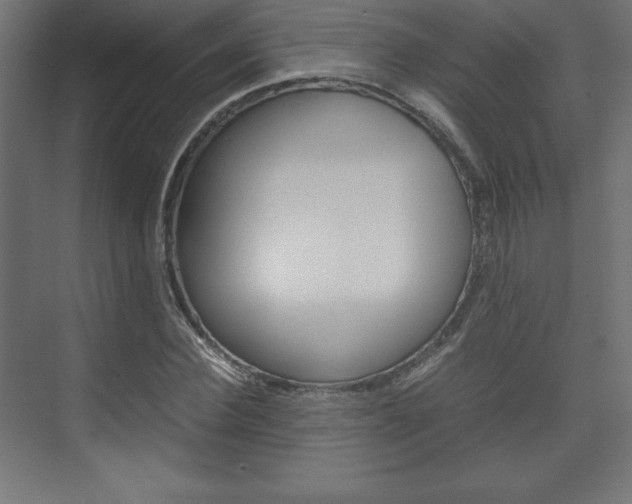 X0000074310924200608251001