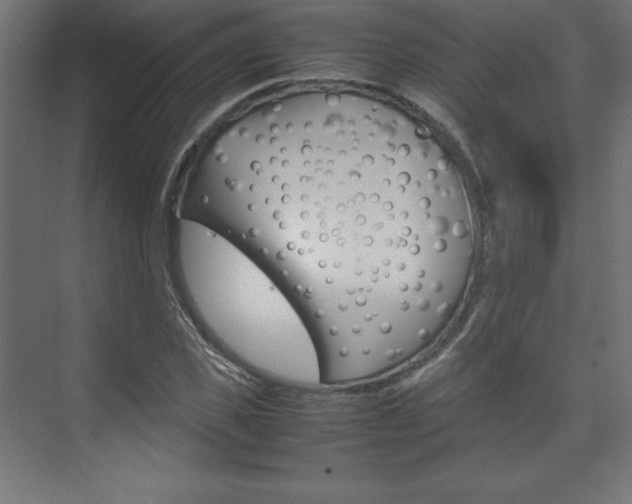 X0000074310925200608251001