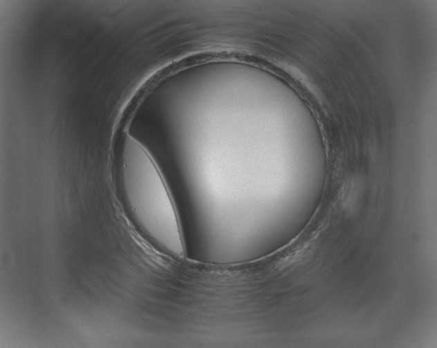 X0000074310927200608251001