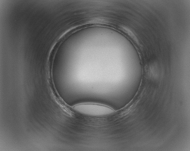 X0000074310931200608251001