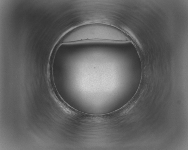 X0000074310932200608251001